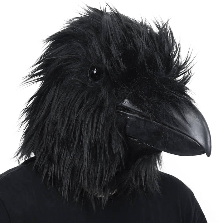 Majestic Crow Mask